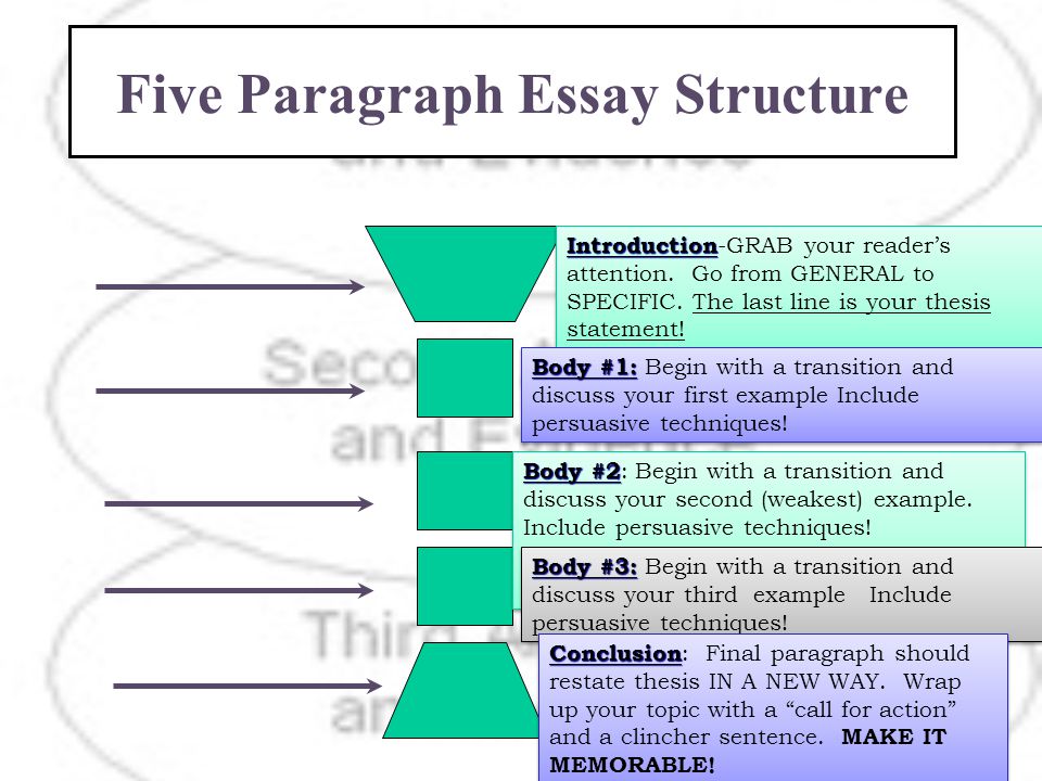 Five paragraph essay structure